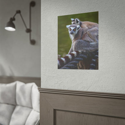 Lemur Family Sunset Poster, Ring-Tailed Lemur Nature Art, Majestic Wildlife Photography Print, Exotic Animal Decor, Jungle Nursery Wall Art