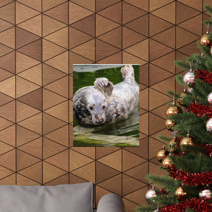 Funny Harbor Seal Poster, Playful Marine Life Wall Art, Cute Animal Zen Decor, Quirky Wildlife Photography, Archival Matte Print Wall Art