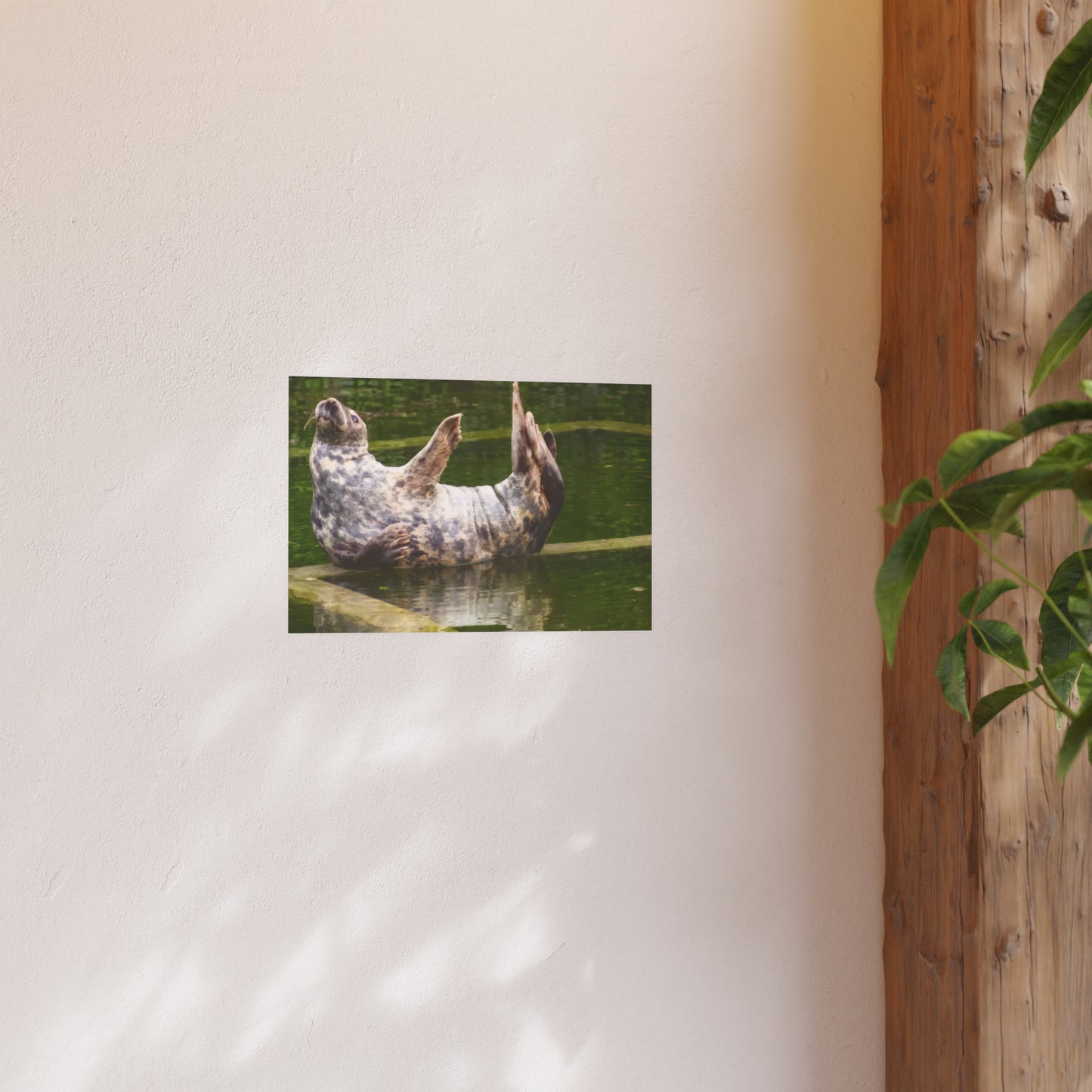 Funny Harbor Seal Poster, Playful Marine Life Wall Art, Cute Animal Zen Decor, Quirky Wildlife Photography