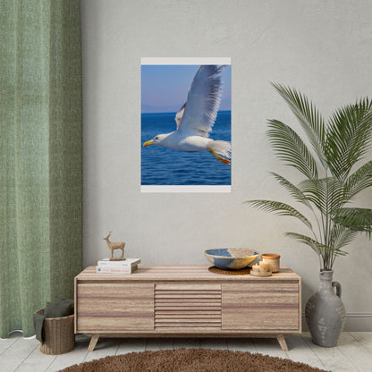 Seagull in Flight Poster, Ocean Blue Sea Wall Art, Coastal Bird Photography Print, Mediterranean Nautical Decor, Minimalist Beach House Art