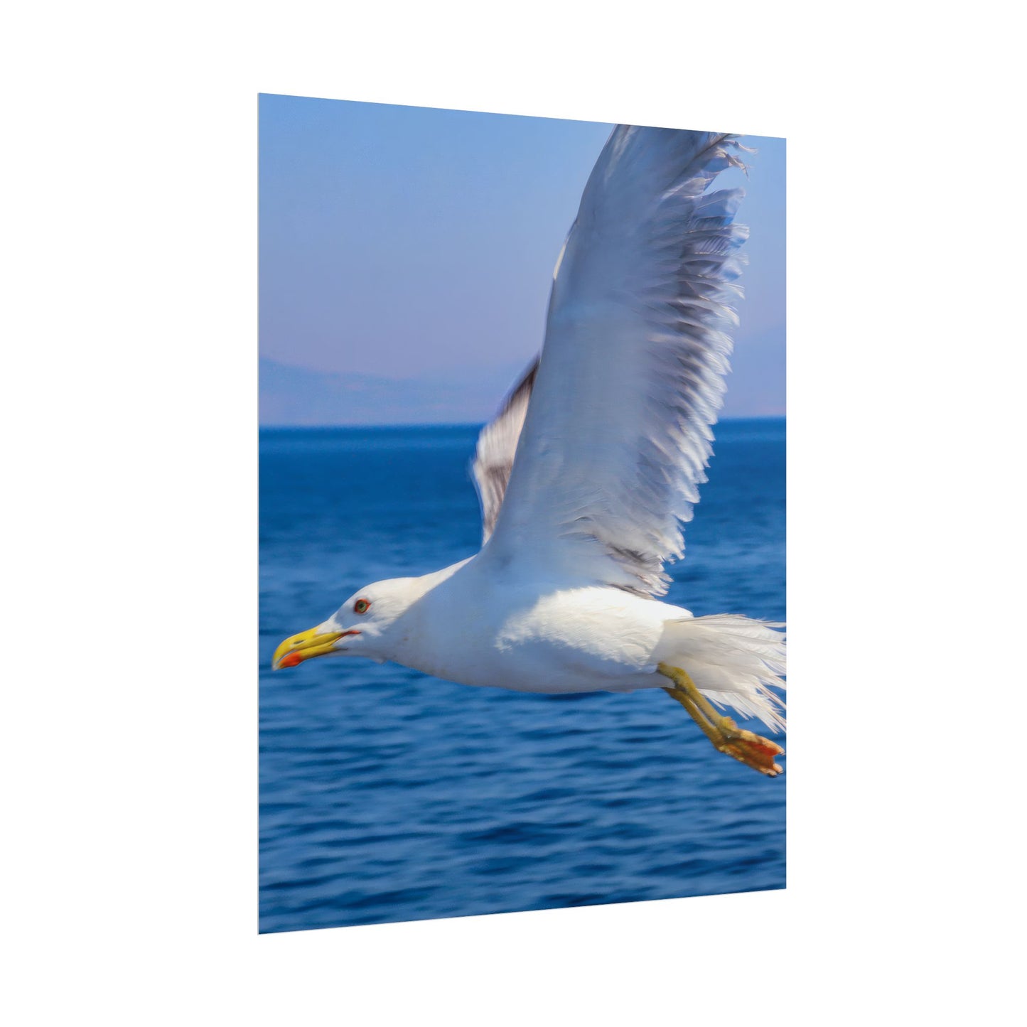 Seagull in Flight Poster, Ocean Blue Sea Wall Art, Coastal Bird Photography Print, Mediterranean Nautical Decor, Minimalist Beach House Art